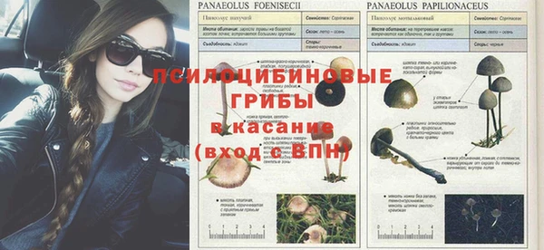 прущий лед Богородицк