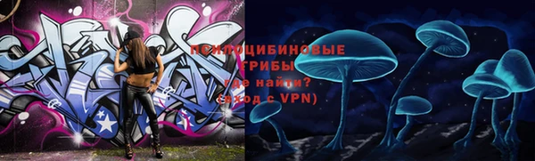 сатива Богородск
